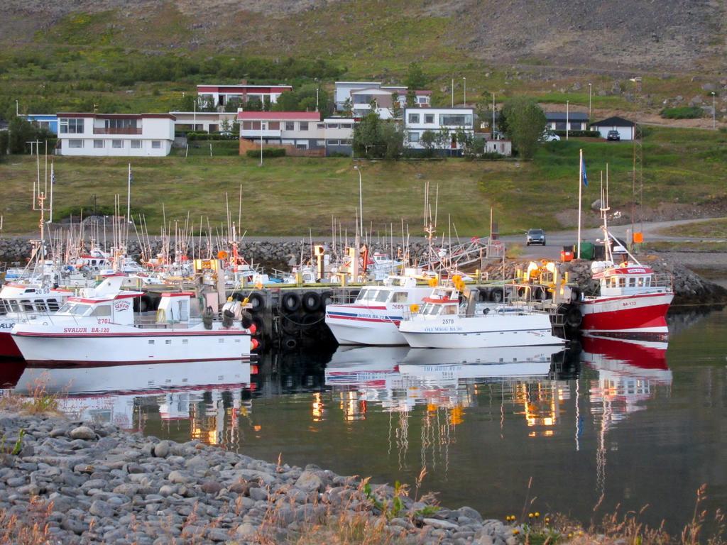 Апартаменти Stekkar 23 Patreksfjordur Екстер'єр фото