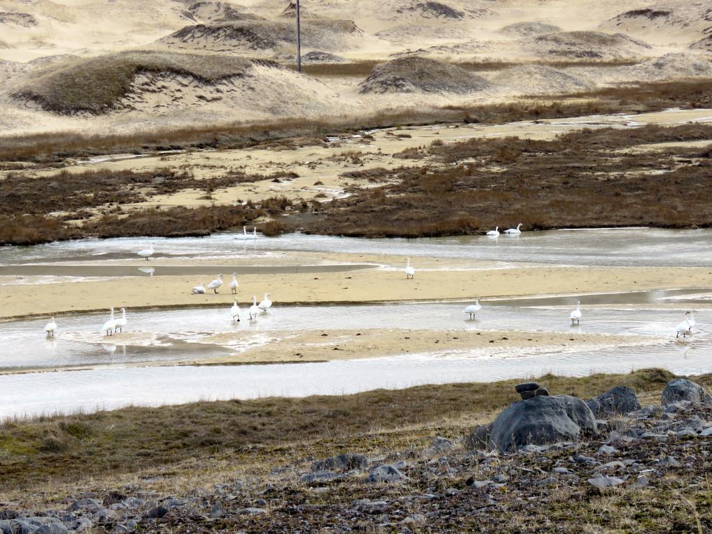 Апартаменти Stekkar 23 Patreksfjordur Екстер'єр фото